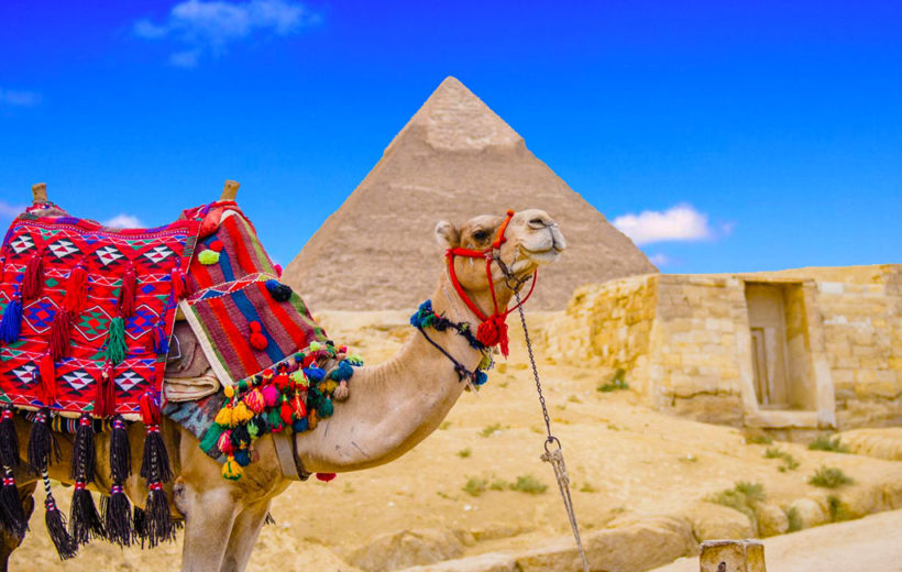 6 Days Cairo, Alexandria & Luxor Tour