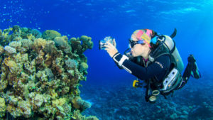 Gallery Thumbnail 1
