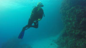 Gallery Thumbnail 0