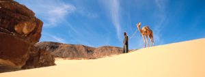 Gallery Thumbnail 3