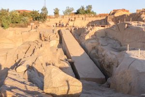 Gallery Thumbnail 5