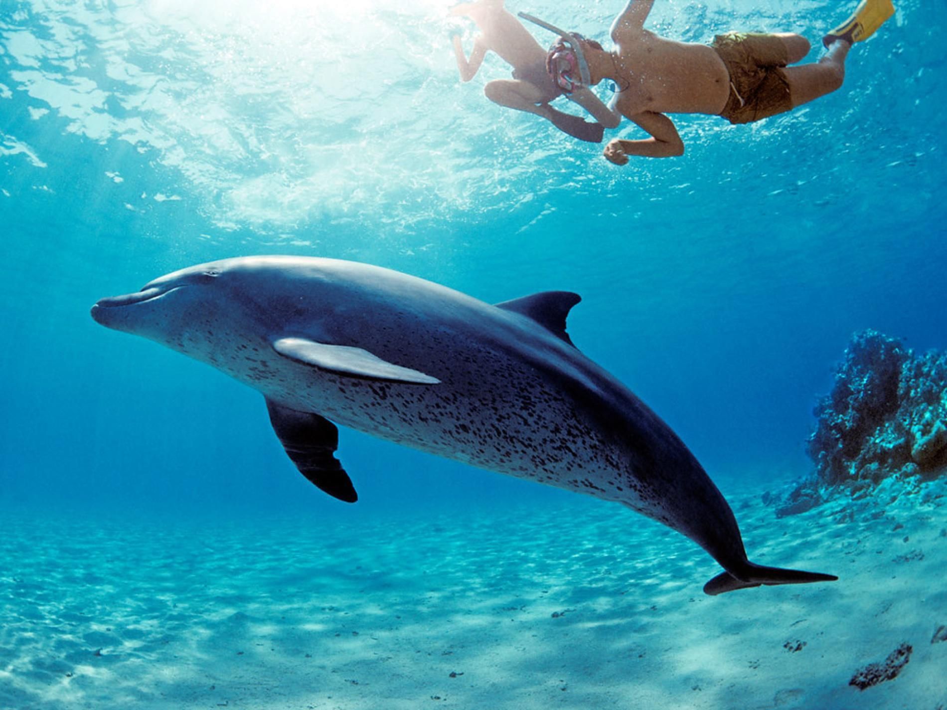 Hurghada